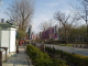 img0073.jpg