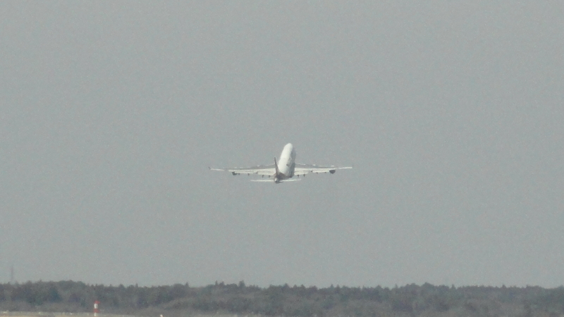img0077.jpg