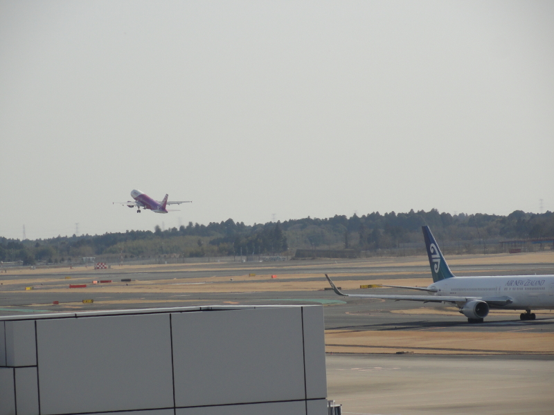 img0110.jpg