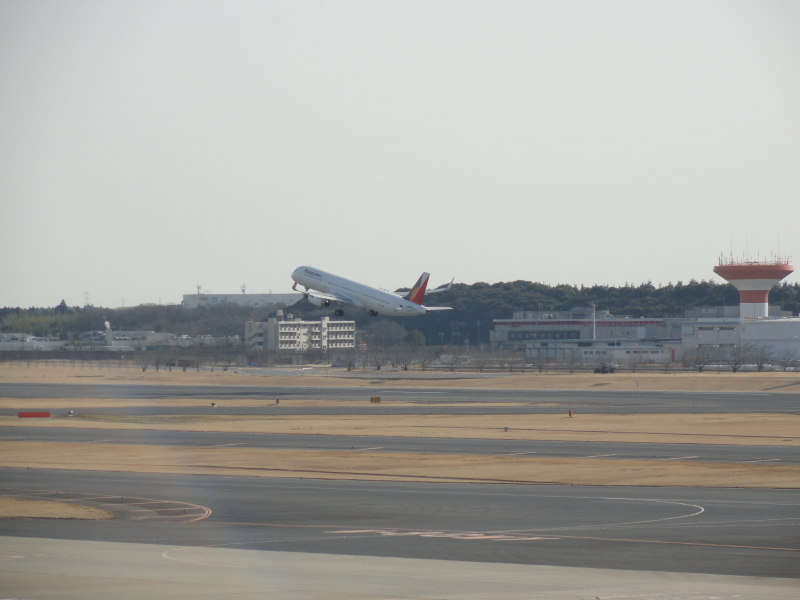 img0115.jpg