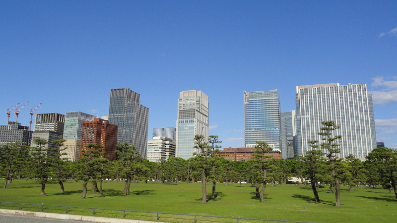 img0011.jpg