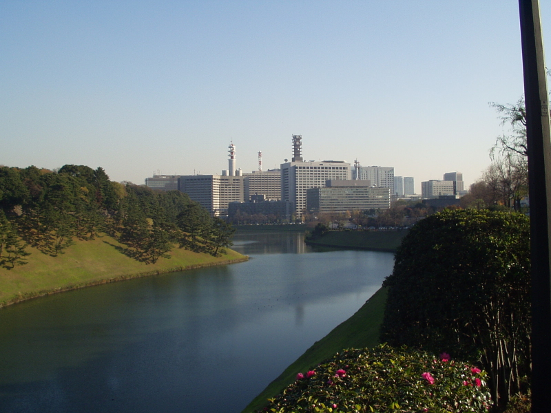 img0015.jpg
