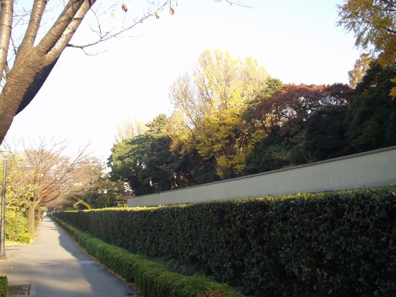 img0016.jpg