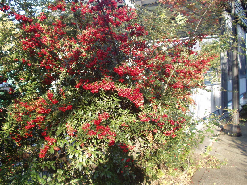 img0018.jpg