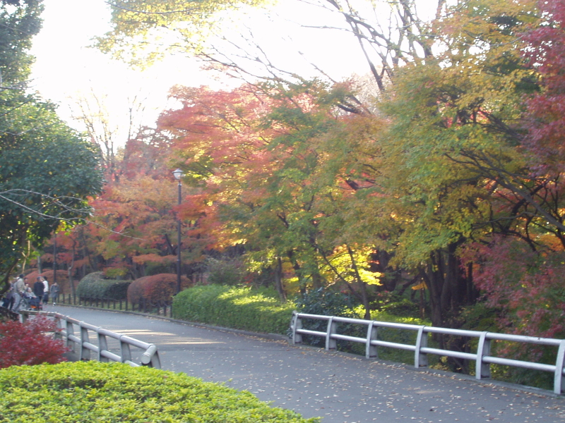 img0019.jpg