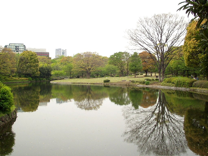 img0058.jpg