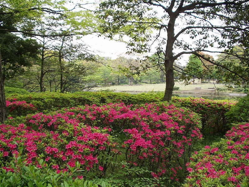 img0059.jpg