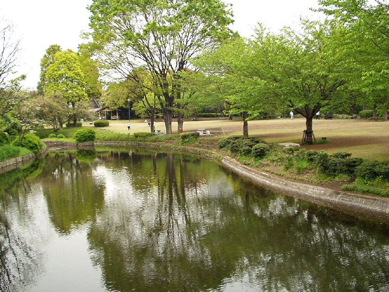 img0061.jpg
