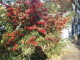 img0018.jpg