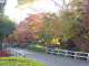 img0019.jpg