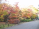img0020.jpg
