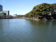 img0049.jpg