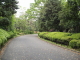 img0060.jpg