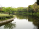 img0062.jpg