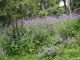 img0064.jpg