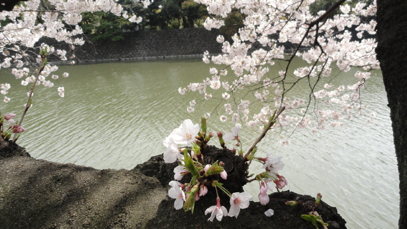 img0005.jpg