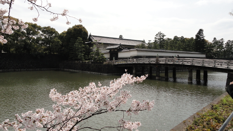 img0006.jpg