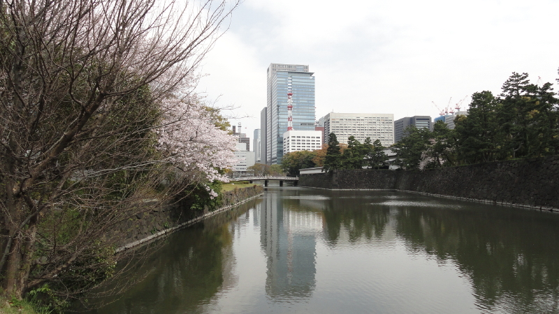 img0009.jpg