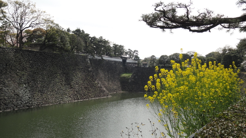 img0018.jpg