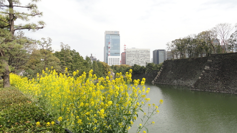 img0019.jpg
