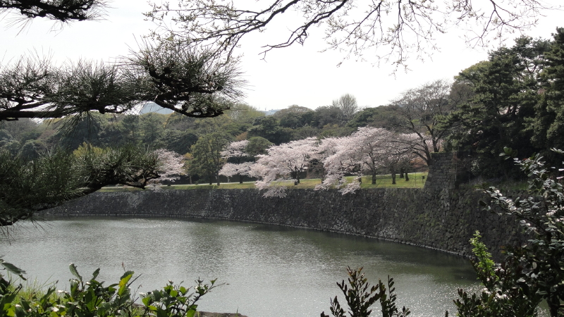 img0020.jpg