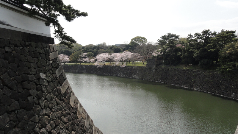 img0021.jpg