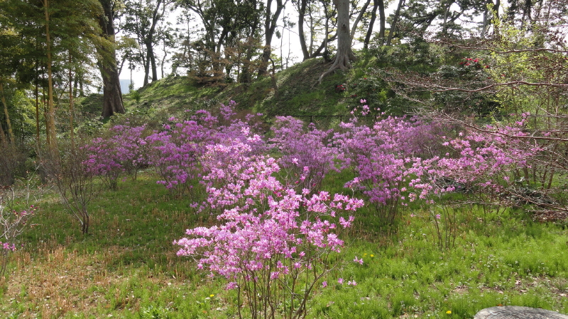 img0029.jpg