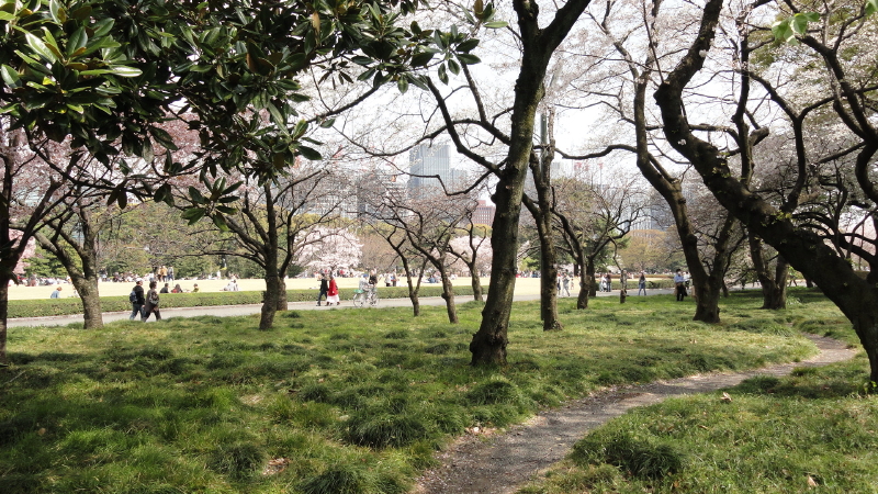 img0031.jpg