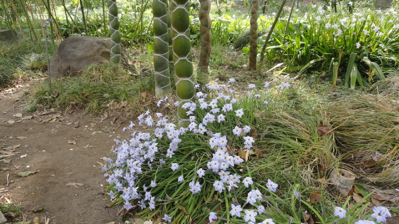 img0032.jpg