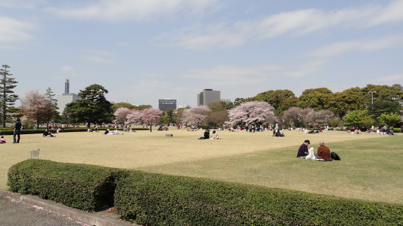 img0035.jpg