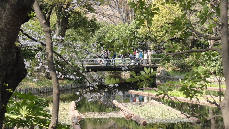 img0041.jpg