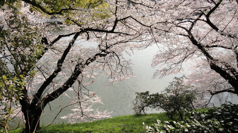 img0043.jpg