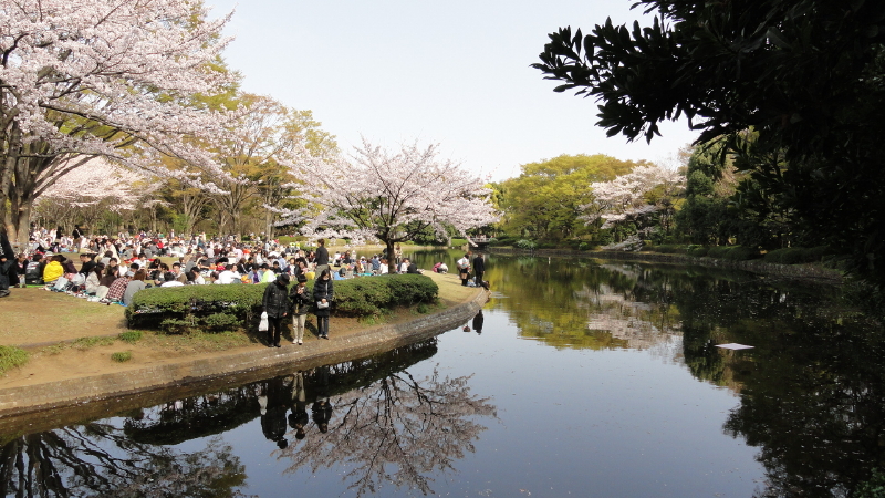 img0044.jpg
