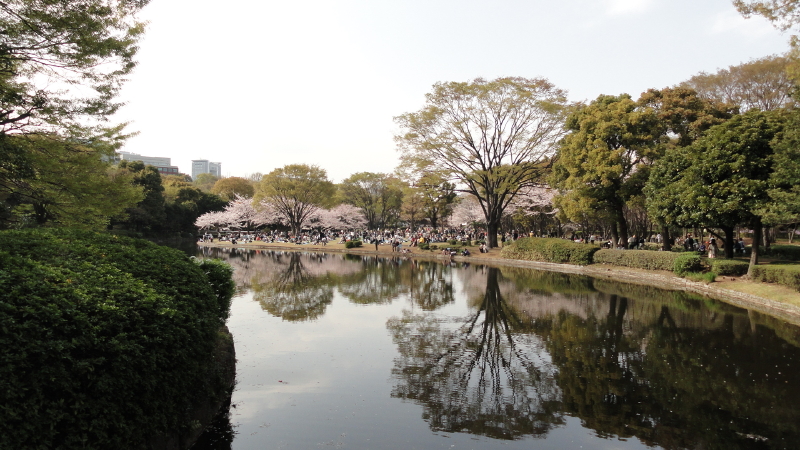 img0046.jpg