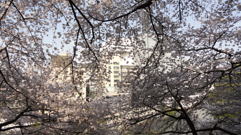 img0051.jpg