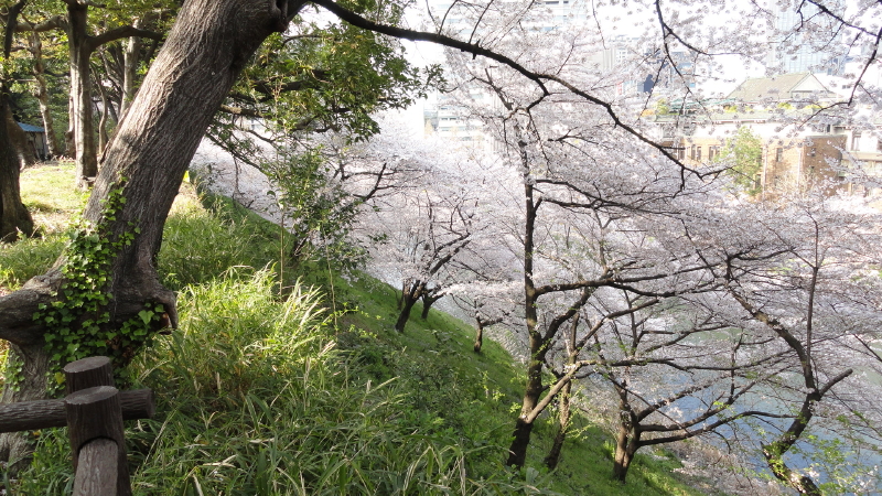 img0053.jpg