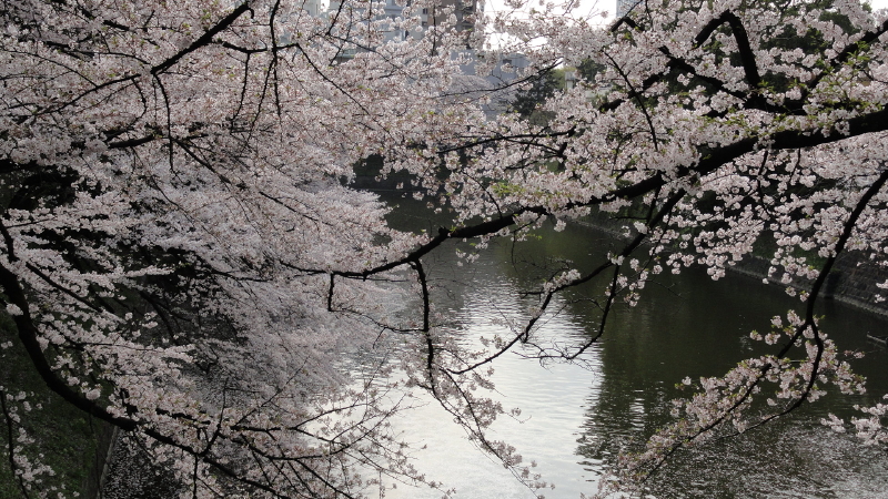 img0059.jpg