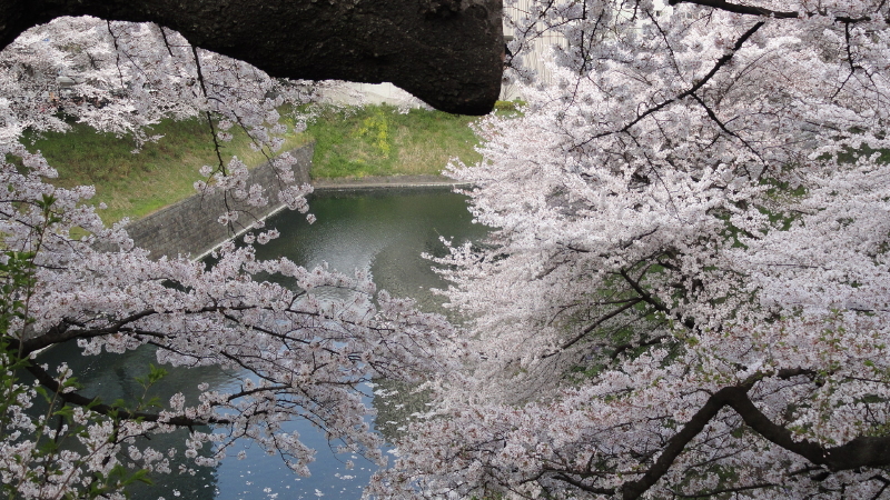 img0060.jpg