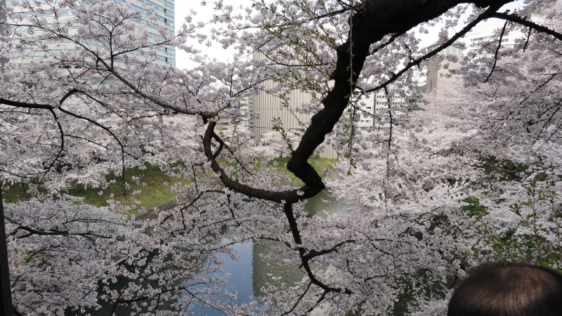 img0062.jpg