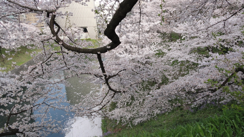 img0063.jpg