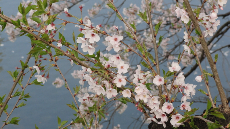 img0065.jpg