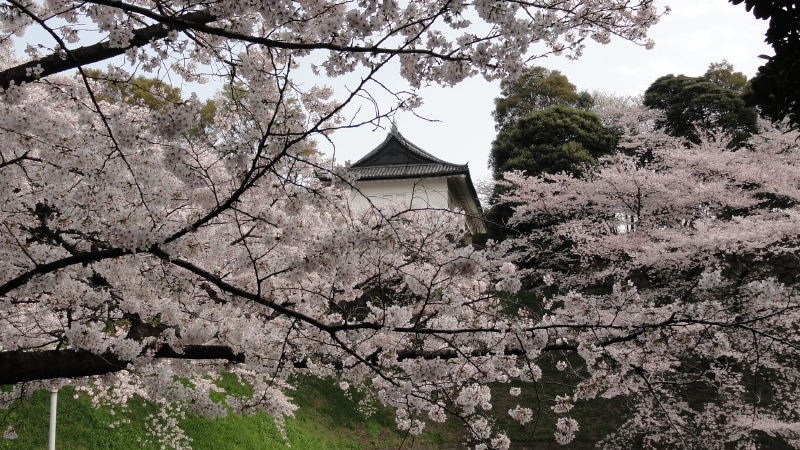 img0067.jpg
