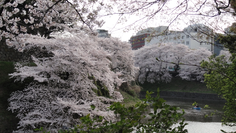img0069.jpg