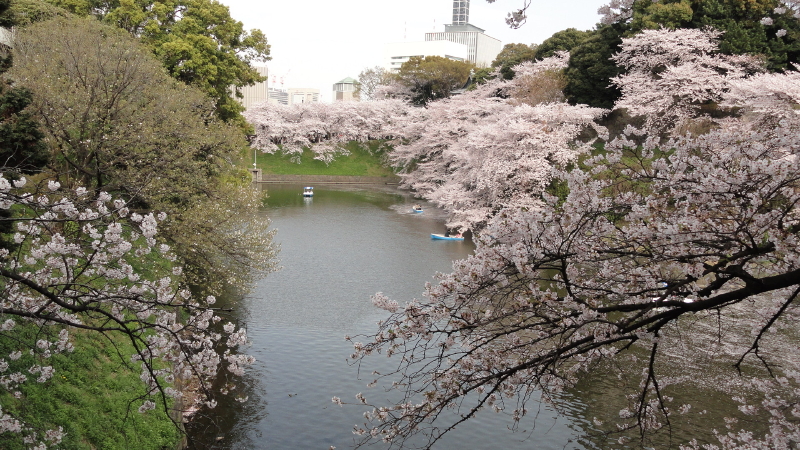 img0071.jpg