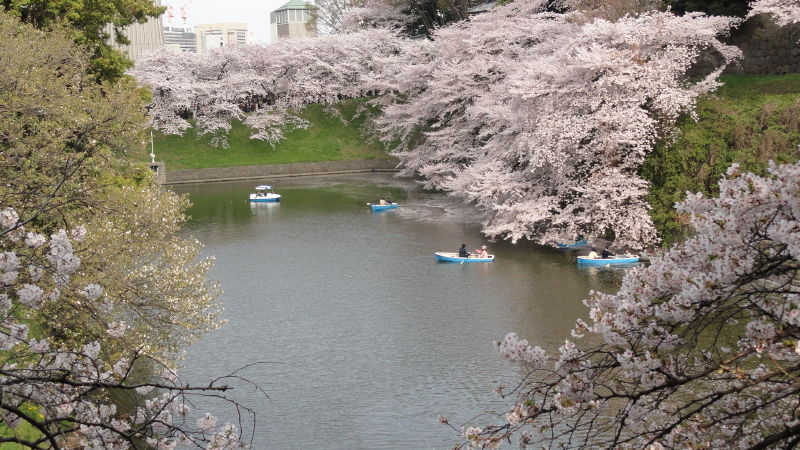 img0072.jpg