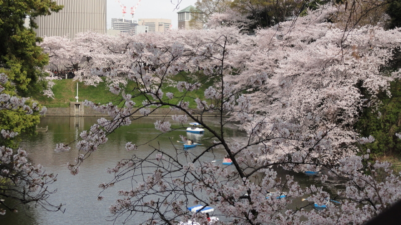 img0073.jpg