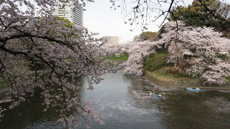 img0076.jpg