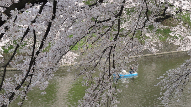 img0079.jpg