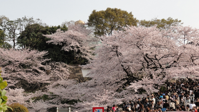 img0085.jpg