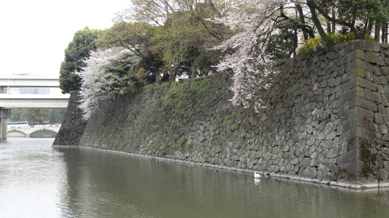 img0088.jpg